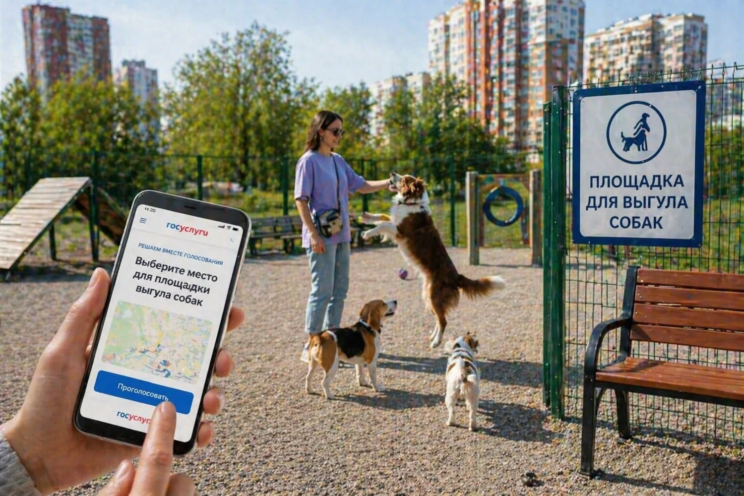 Жители Екатеринбурга выбрали место для площадки выгула собак через Госуслуги
